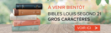 https://www.messagerchretien.com/bible-a-gros-caracteres.htm