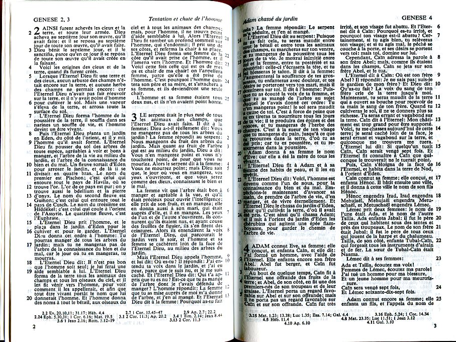 Bible Esaïe: Similicuir duo fuchsia et rose pale, tranche blanche  (2914483570): Segond 1910: CLC France